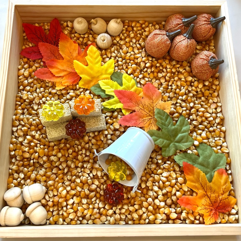 Fall Sensory Bin Kit 🍁